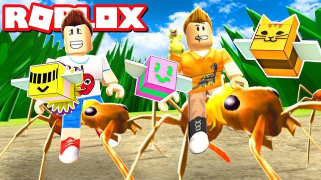 roblox养蜂模拟器攻略