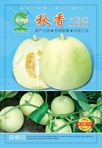甜瓜35.0最新版下载缩略图