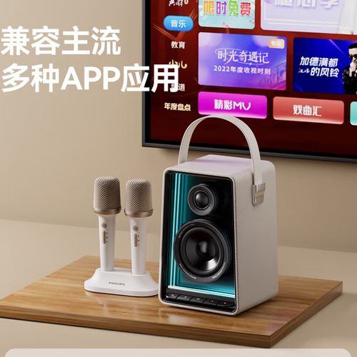 音箱话筒声音太小怎么办图标