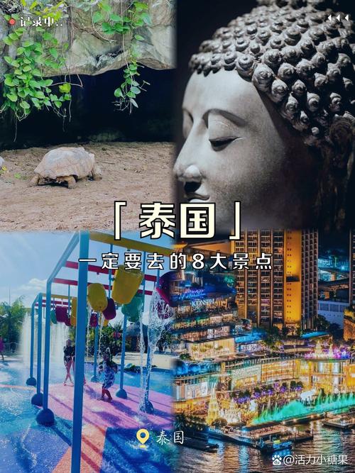 泰圈免费下载图标