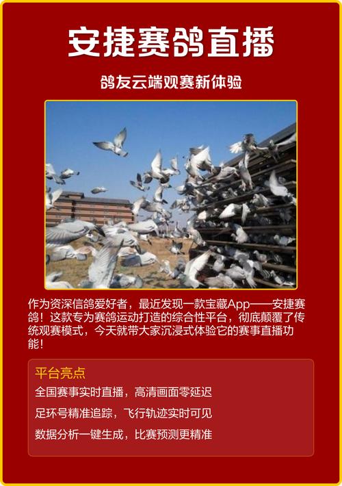 安捷赛事直播网址协会