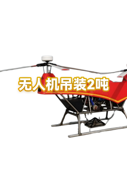 无人机吊装租赁一天多少钱游戏截图