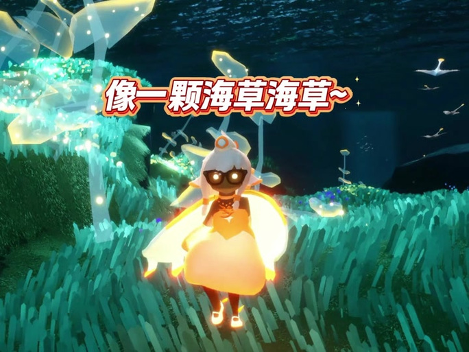 光遇哪里有水母