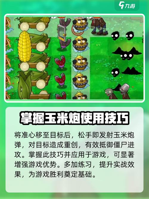 植物大战僵尸玉米加农炮bug