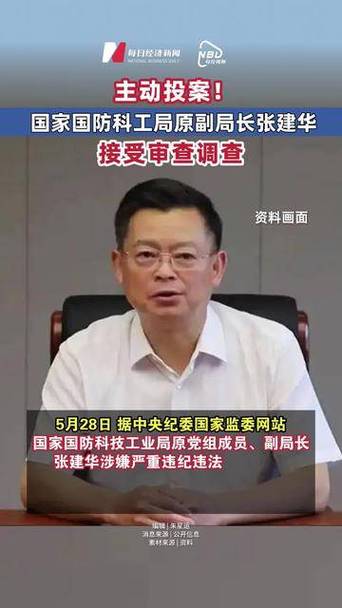 张建华被查游戏截图