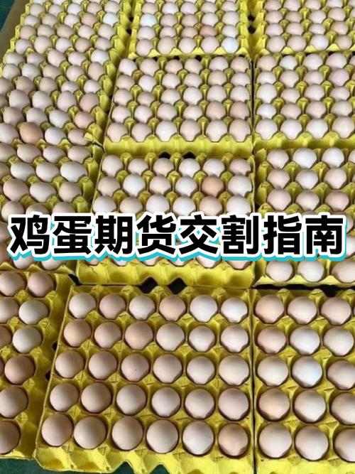 鸡蛋交割费用由谁承担缩略图