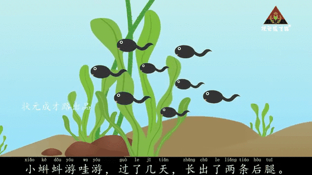 小蝌蚪找缩略图