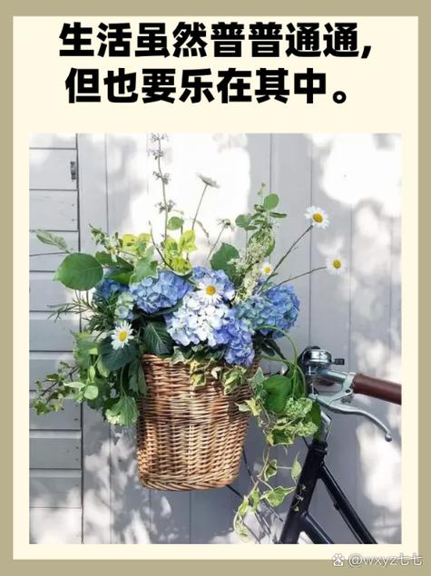 生活平淡而美好的句子缩略图