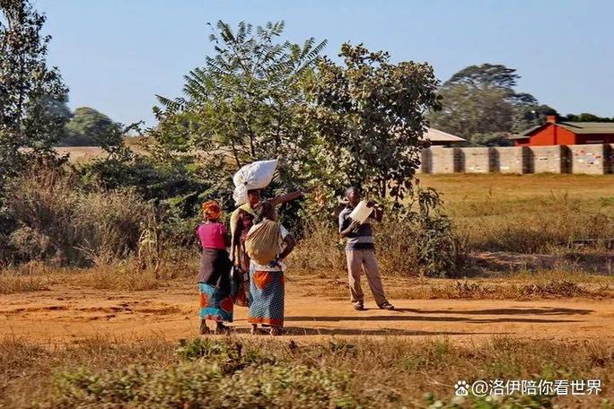赞比亚打工的10大忠告图标