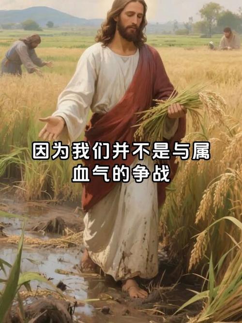 属灵争战的七样兵器图标