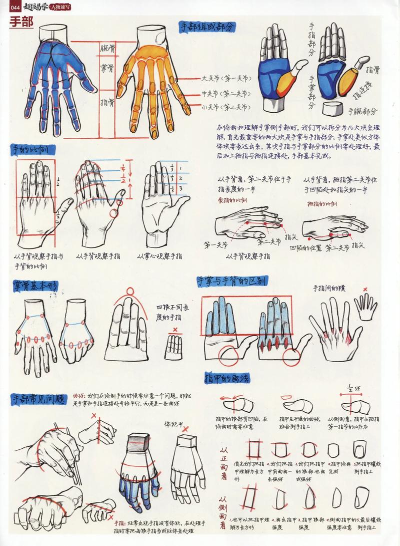 象棋新手入门教程图标