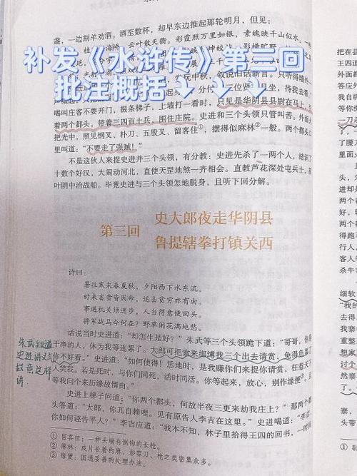 水浒传现代文版阅读缩略图
