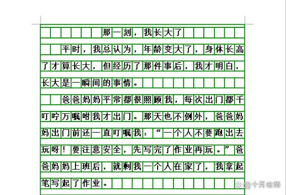 我当了一回小老师作文400字缩略图