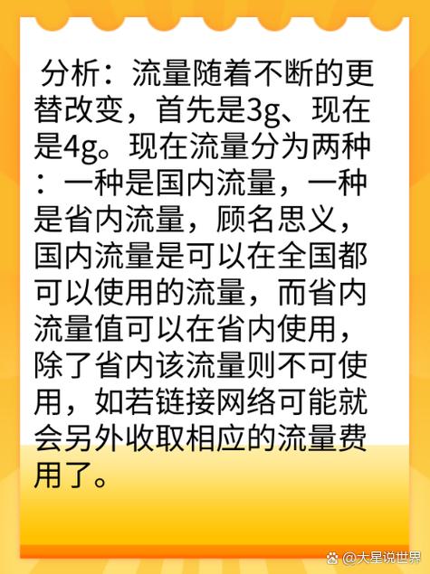 国内其他流量是什么意思游戏截图