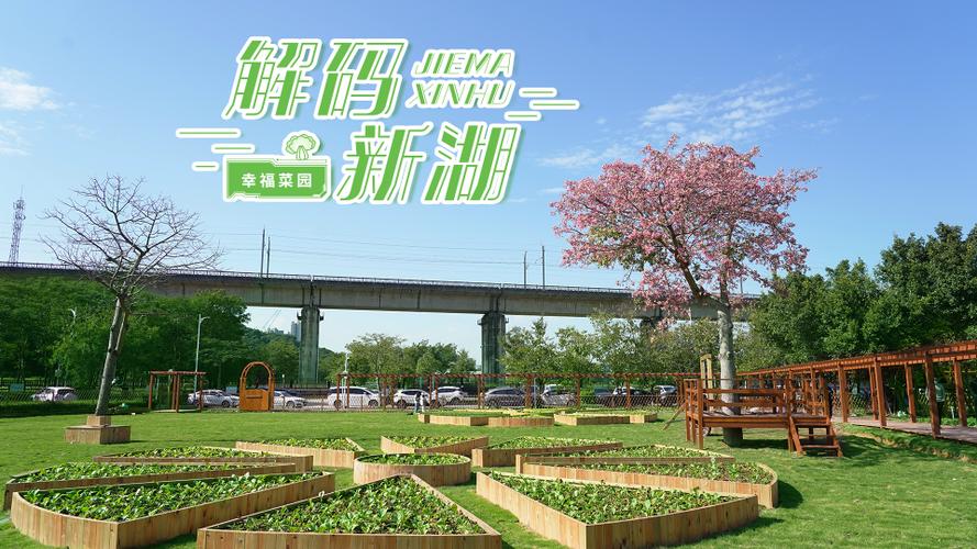 幸福菜园缩略图