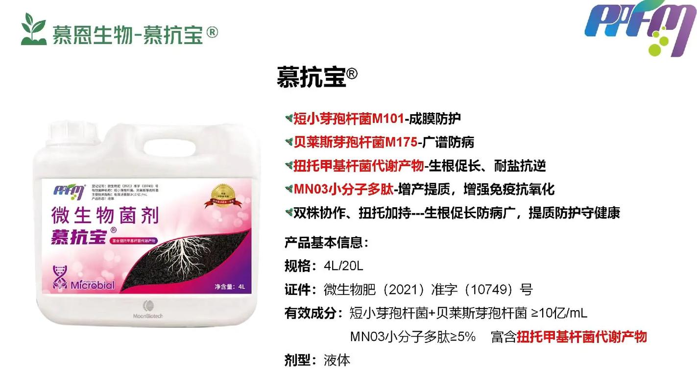 iphone11玻璃后盖一掉就碎