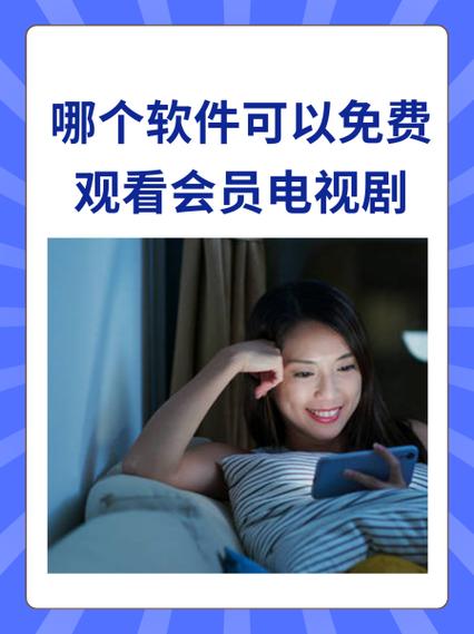 vip电视剧免费观看缩略图