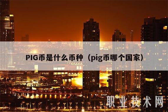 pig币现在多少钱缩略图