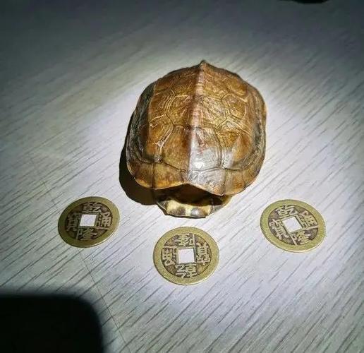 占卜方式有哪些图标