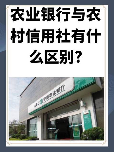 农信可以去农商办业务吗