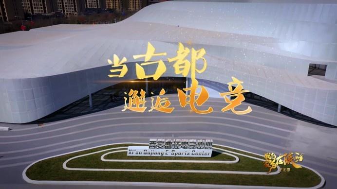 陕西卫视直播免费观看缩略图