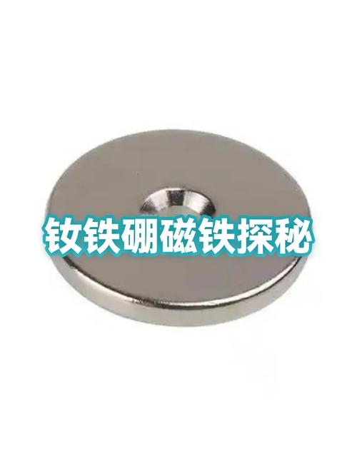 磁力搜索神器图标