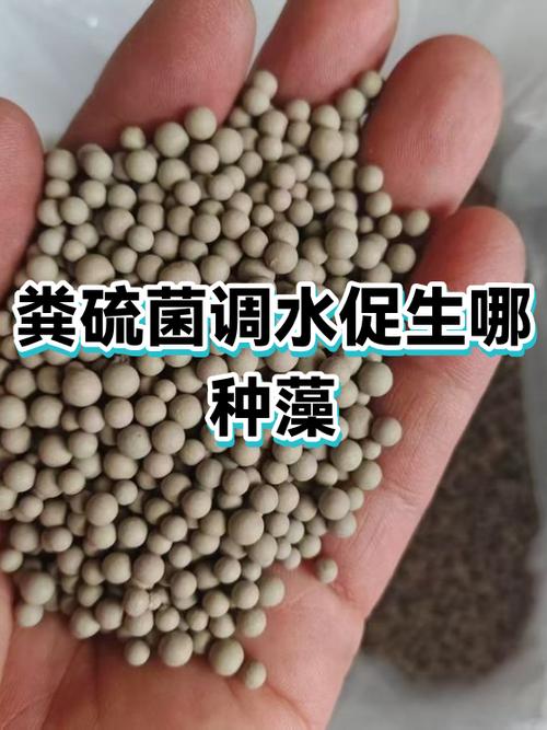 菌群移植费用