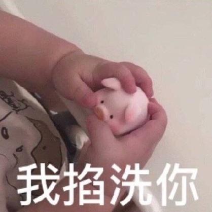 我抓住你了猪猪表情包缩略图
