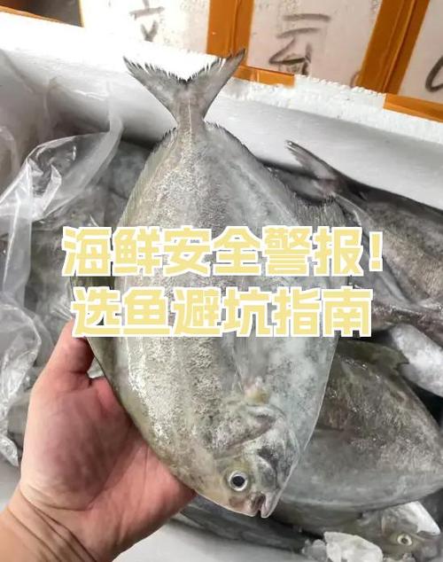 鱼肉上的红色组织能吃吗