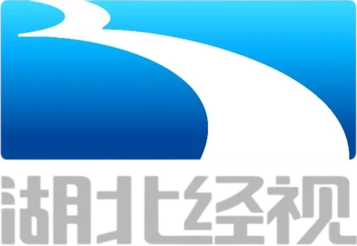 湖北网络广播电视台缩略图