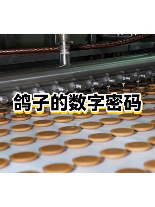 鸽子的脖子能转多少度