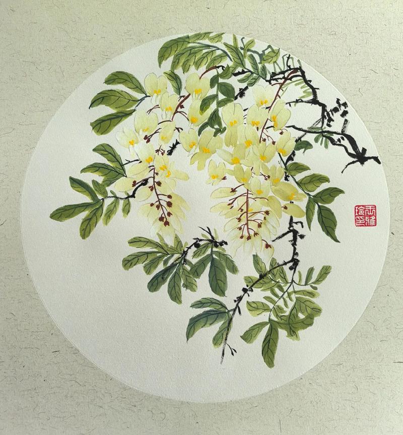 槐花的图片