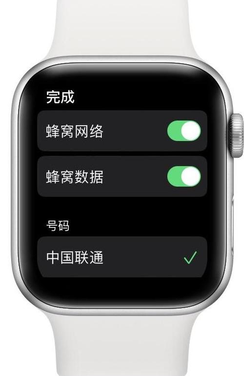 苹果手表蜂窝移动网络未使用游戏截图