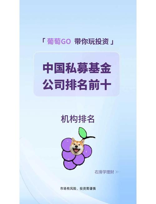 做私募的人最终下场图标