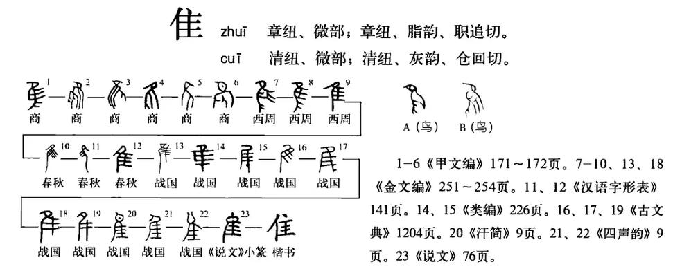 隹字旁的鸟类