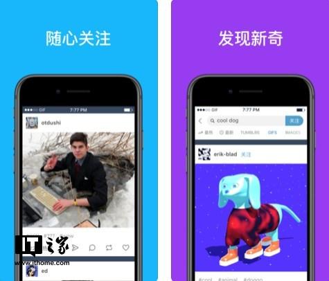 tumblr官网下载入口图标