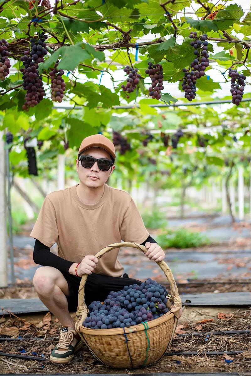 多多果园果树成熟翻倍怎么取消