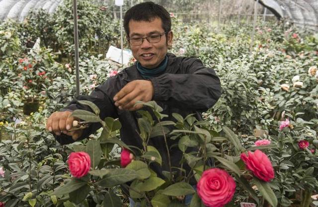 茶花直播平台缩略图