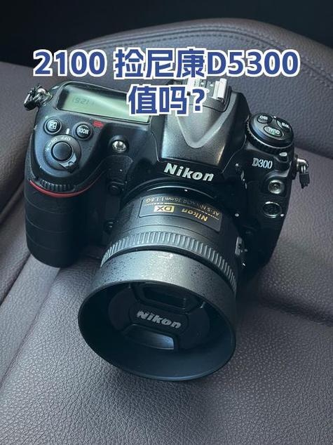 尼康d5300新手教程游戏截图