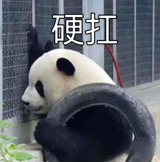 我还能扛得住表情包图标