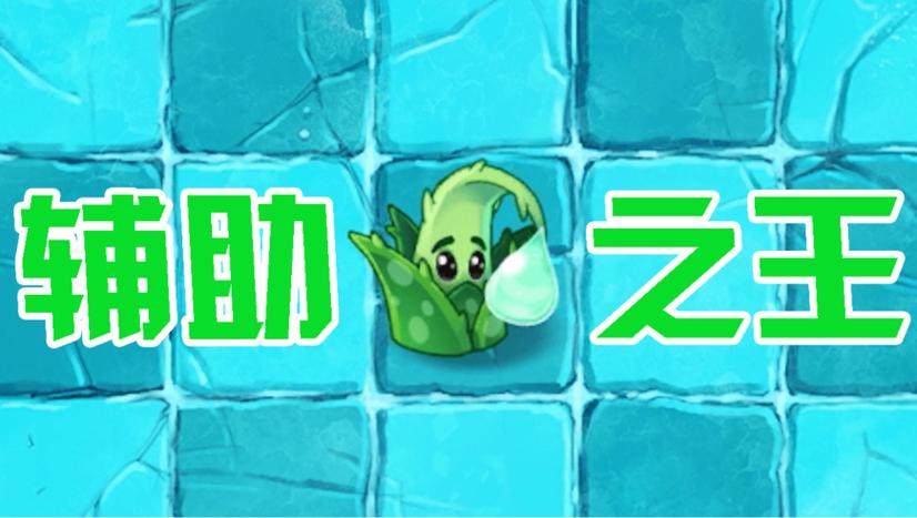 经常打辅助起什么名字