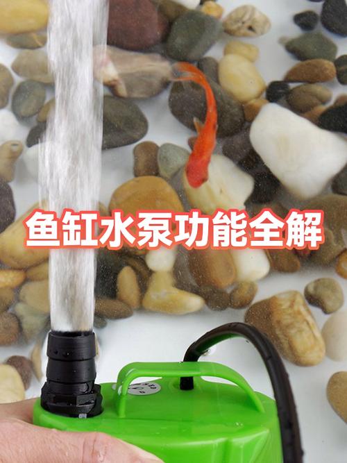 鱼缸水泵震动对鱼会不会有影响
