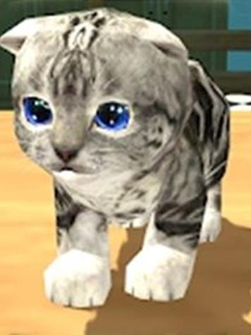 流浪猫模拟器2缩略图