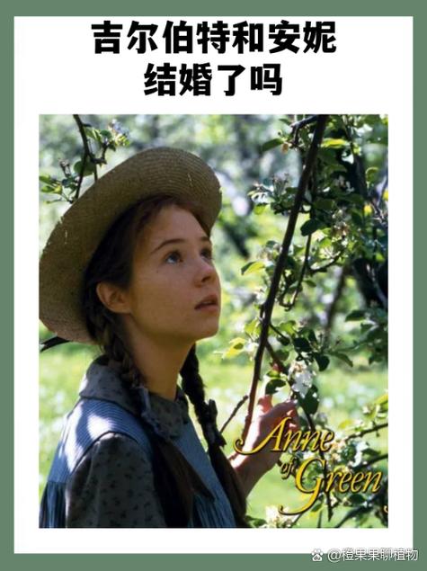 吉尔伯特对安妮成长的影响缩略图