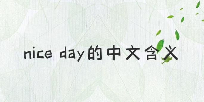 nice的名词含义缩略图