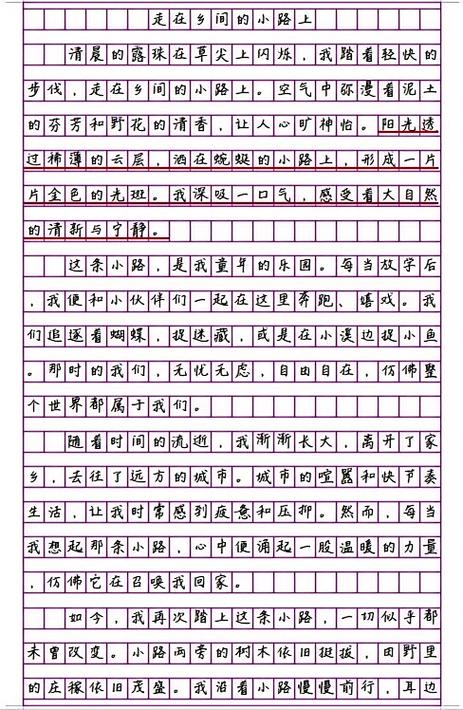 800字作文初中记忆中的小路游戏截图