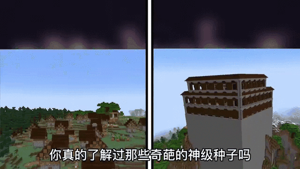 我的世界奇葩种子缩略图