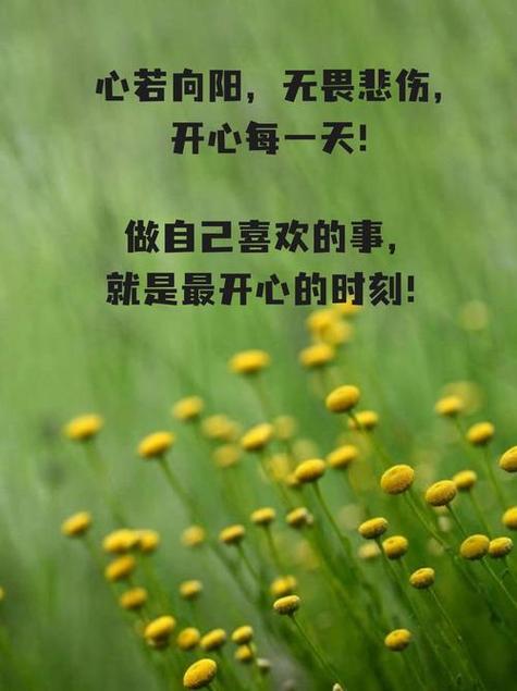 表示心情愉悦的说说带图片缩略图