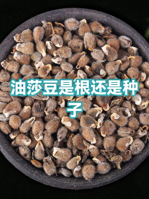 趣分类的趣豆现在多少钱一个缩略图