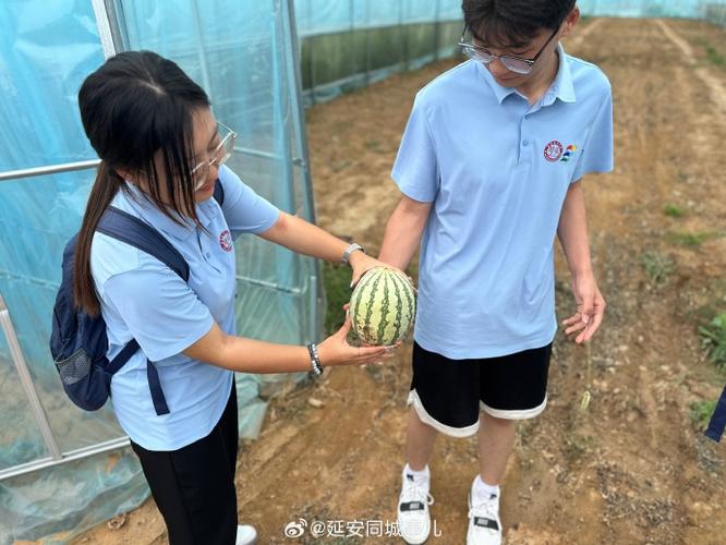 西瓜同城官网游戏截图